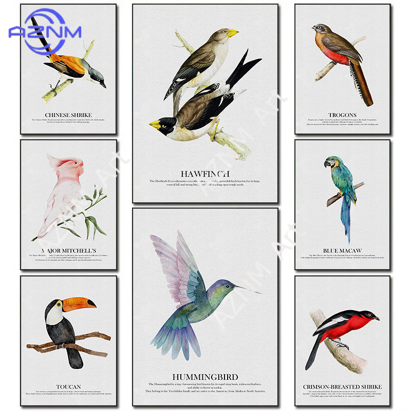 Bright Colors Birds Subject Hu - Watercolor Poster Print recension och pris