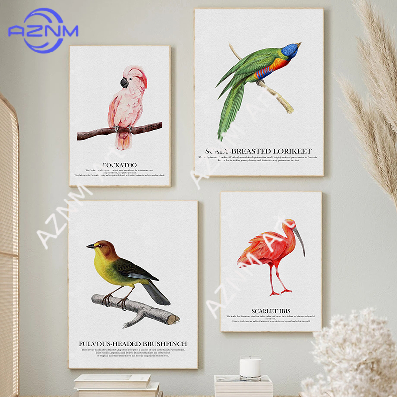 Bright Colors Birds Subject Hu - Watercolor Poster Print recension och pris