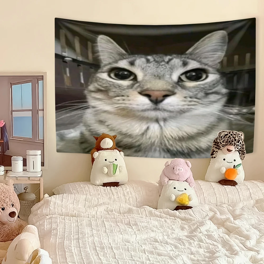 Funny Cat Meme Tapestry, Kawai - Aesthetic Tapestry recension och pris