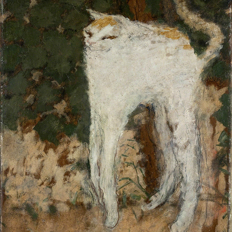 Pierre Bonnard Le Chat Blanc E - Home Decor Exhibition recension och pris