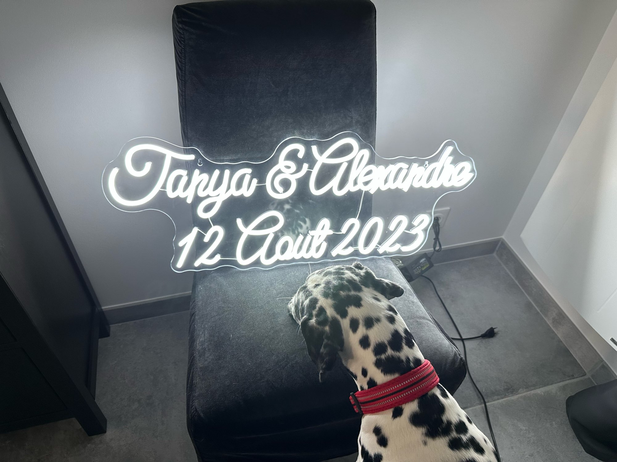 Custom Neon Sign LED Neon Ligh - Home Decor Logo Design recension och pris